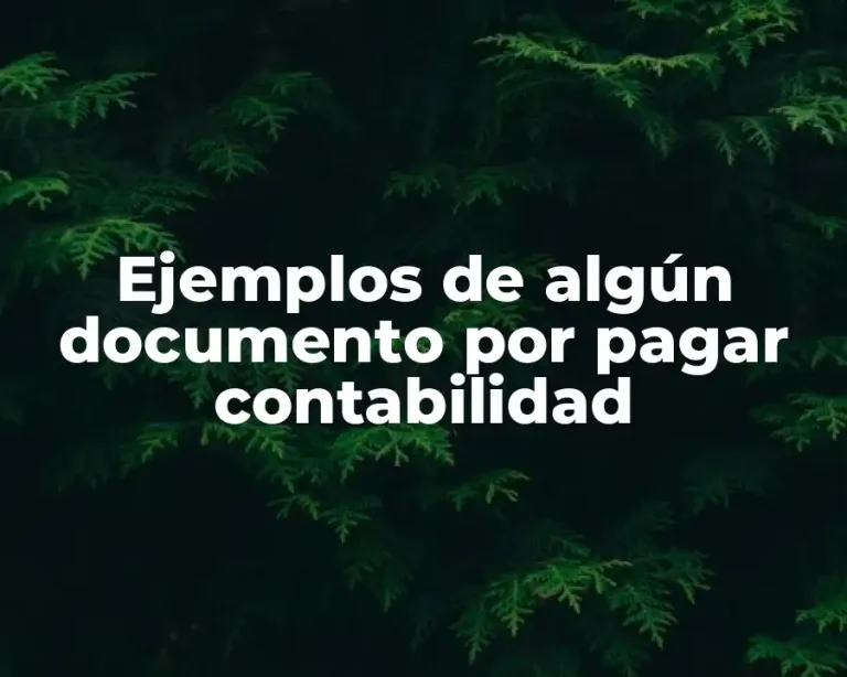 Ejemplos de algún documento por pagar contabilidad