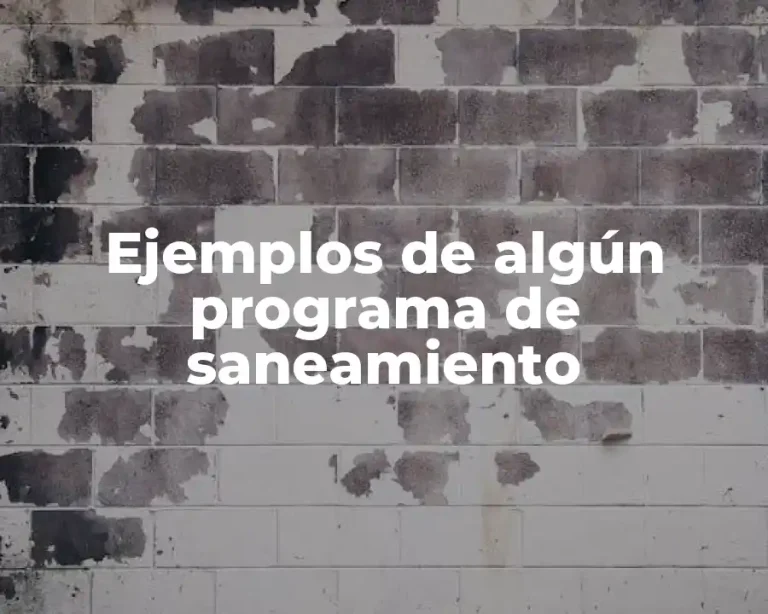 Ejemplos de algún programa de saneamiento