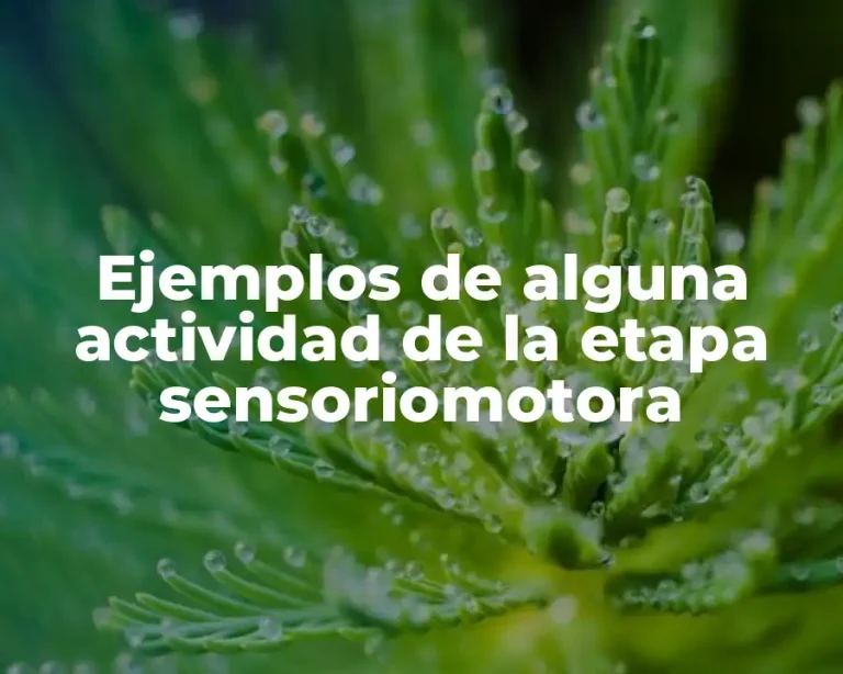 Ejemplos de alguna actividad de la etapa sensoriomotora