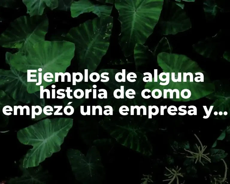 Ejemplos de alguna historia de como empezó una empresa y Significado