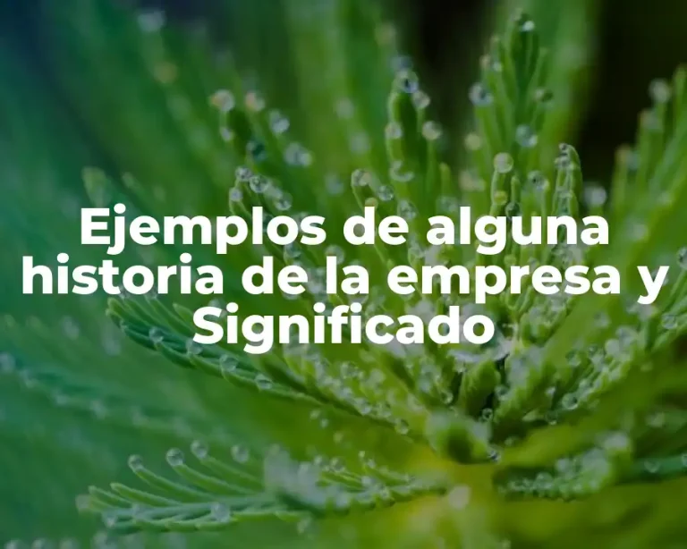 Ejemplos de alguna historia de la empresa y Significado