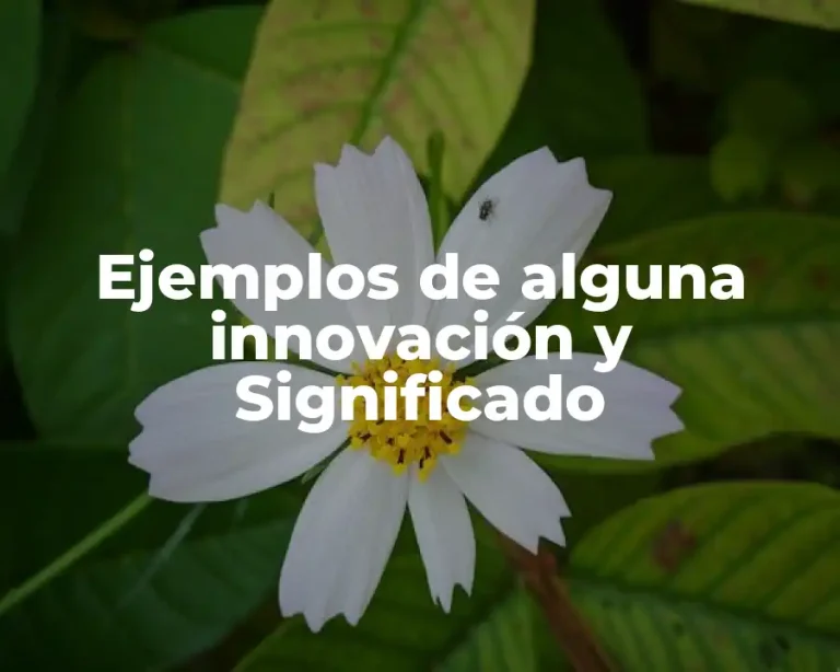 Ejemplos de alguna innovación y Significado