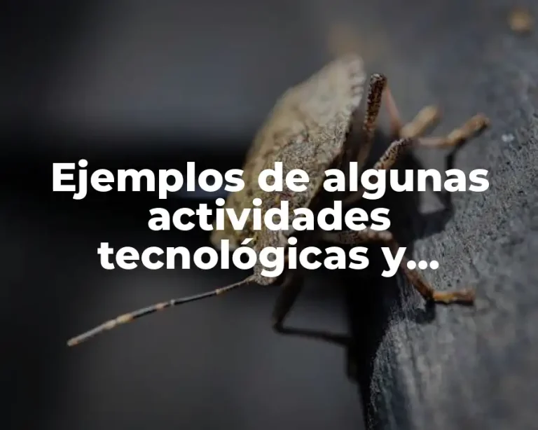 Ejemplos de algunas actividades tecnológicas y Significado