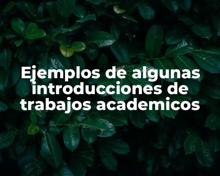 Ejemplos de algunas introducciones de trabajos academicos