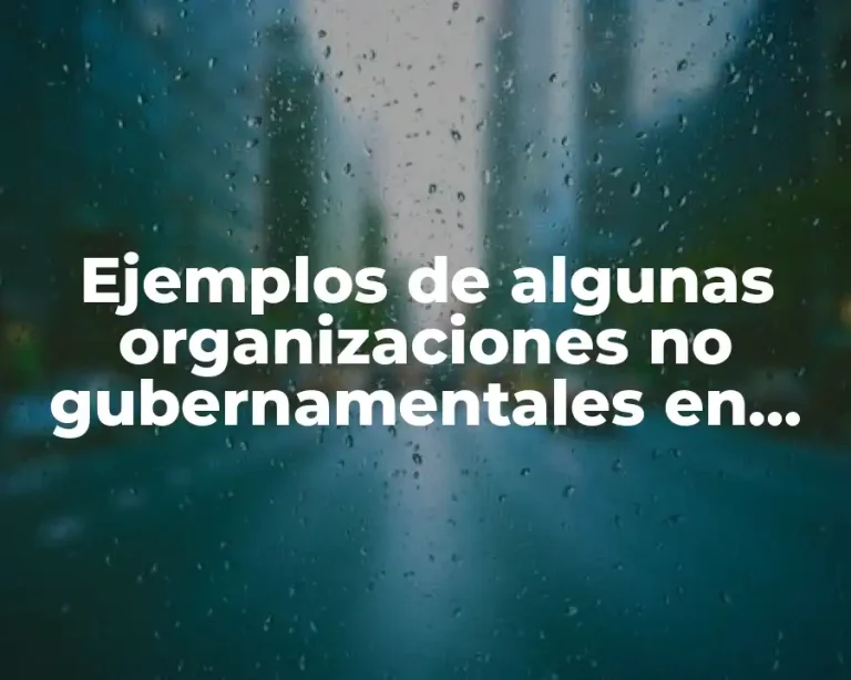 Ejemplos de algunas organizaciones no gubernamentales en México
