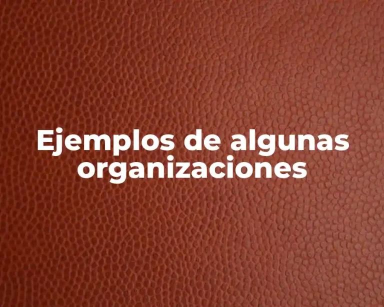 Ejemplos de algunas organizaciones
