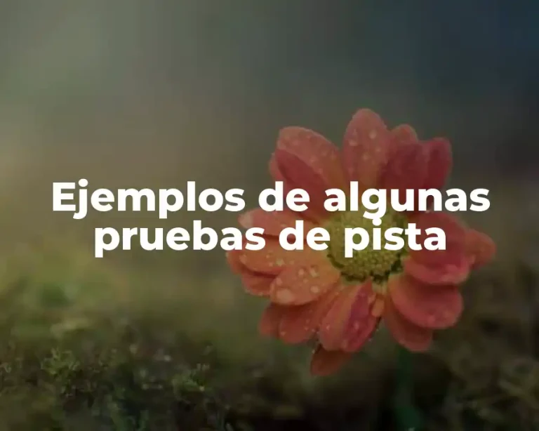 Ejemplos de algunas pruebas de pista