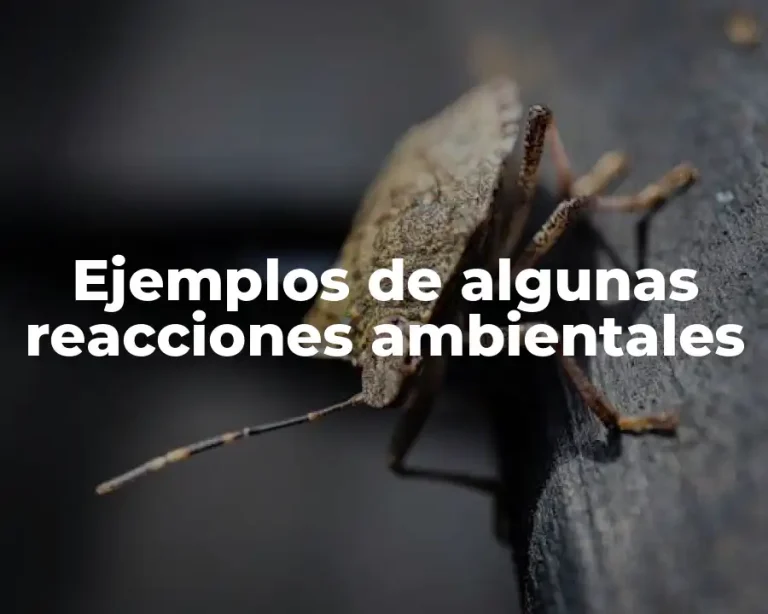 Ejemplos de algunas reacciones ambientales