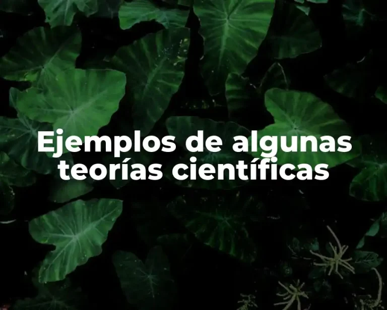 Ejemplos de algunas teorías científicas
