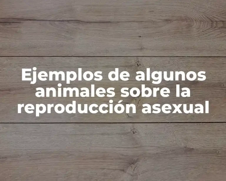 Ejemplos de algunos animales sobre la reproducción asexual