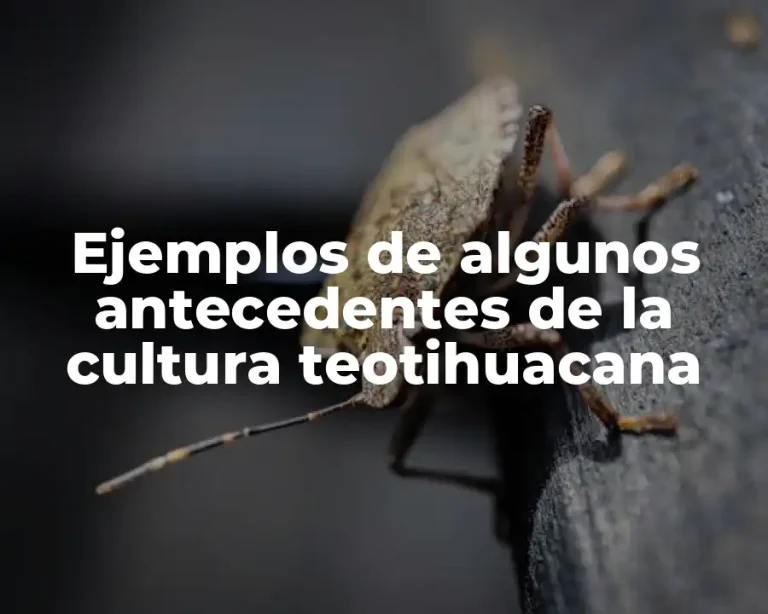 Ejemplos de algunos antecedentes de la cultura teotihuacana