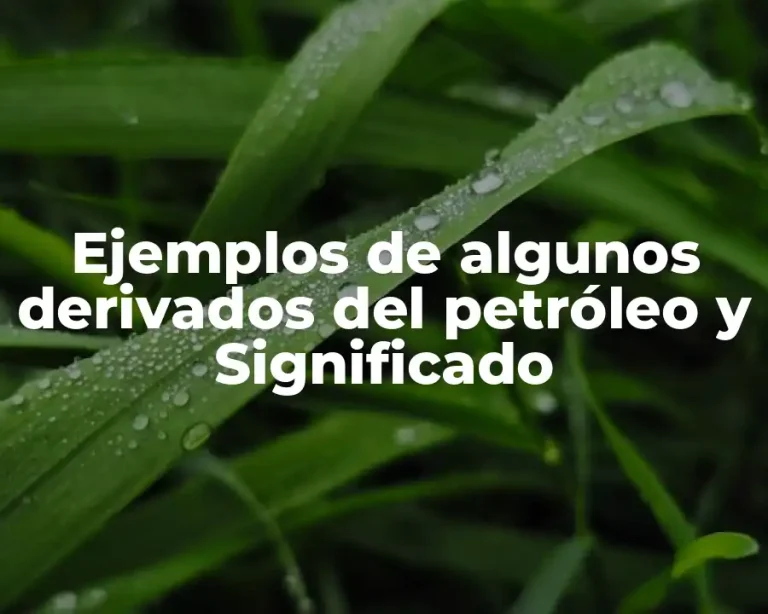 Ejemplos de algunos derivados del petróleo y Significado
