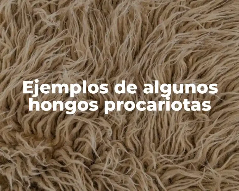 Ejemplos de algunos hongos procariotas