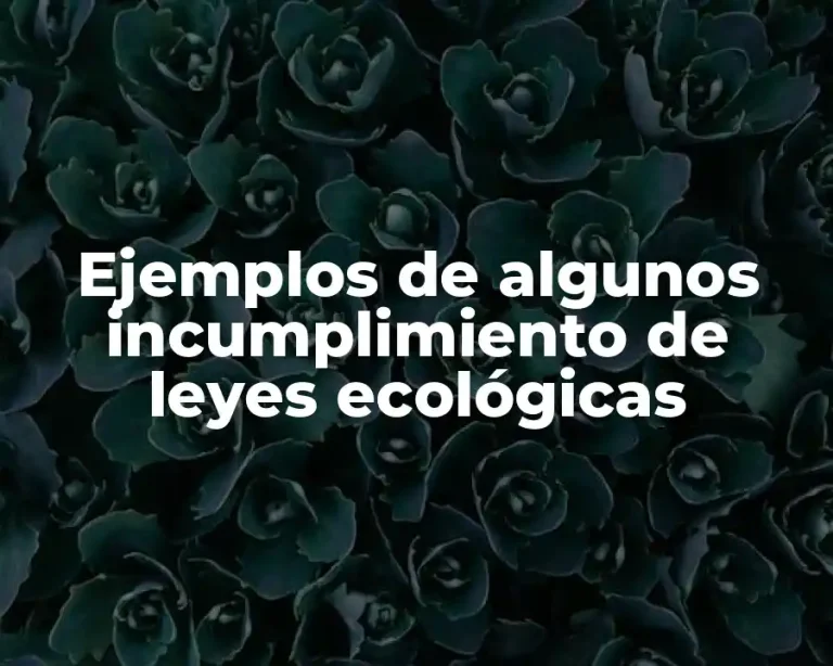 Ejemplos de algunos incumplimiento de leyes ecológicas
