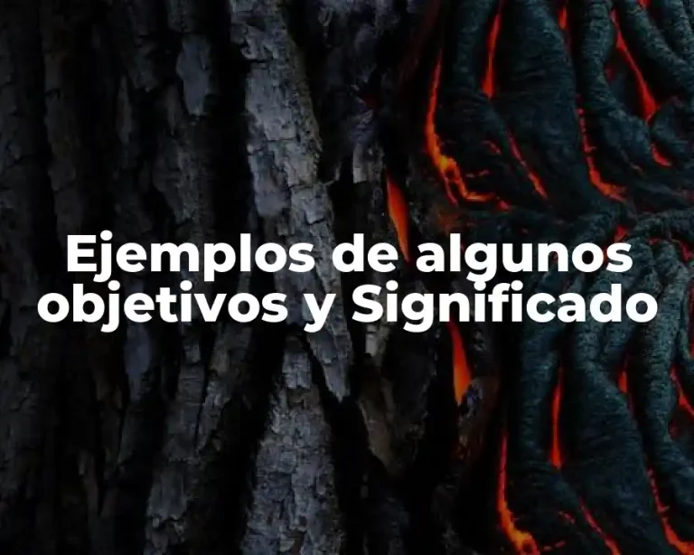 Ejemplos de algunos objetivos y Significado