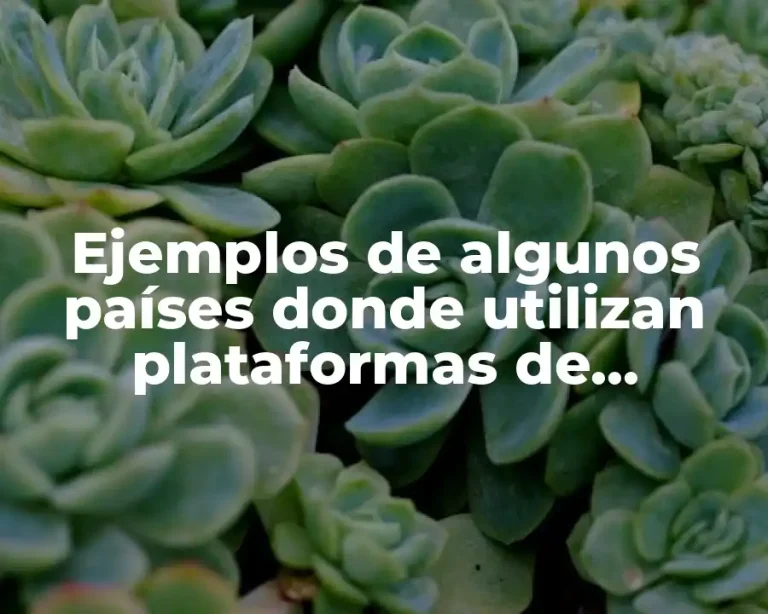 Ejemplos de algunos países donde utilizan plataformas de televisión online