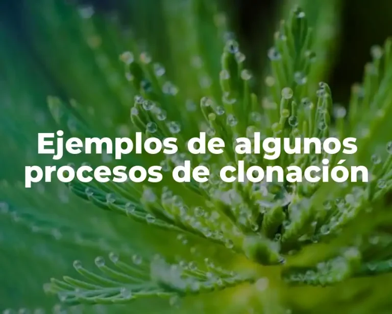 Ejemplos de algunos procesos de clonación