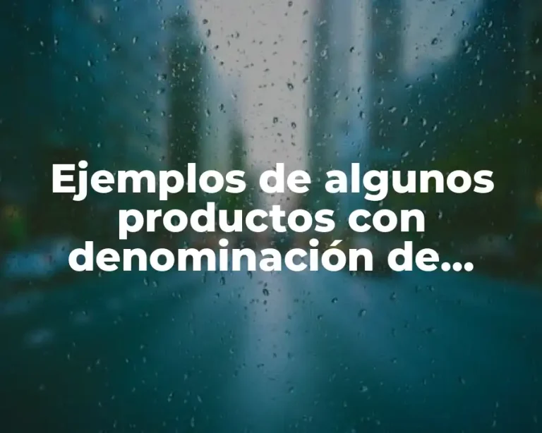 Ejemplos de algunos productos con denominación de origen en México
