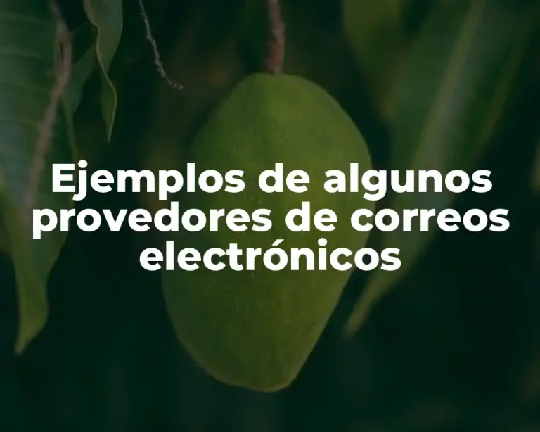 Ejemplos de algunos provedores de correos electrónicos
