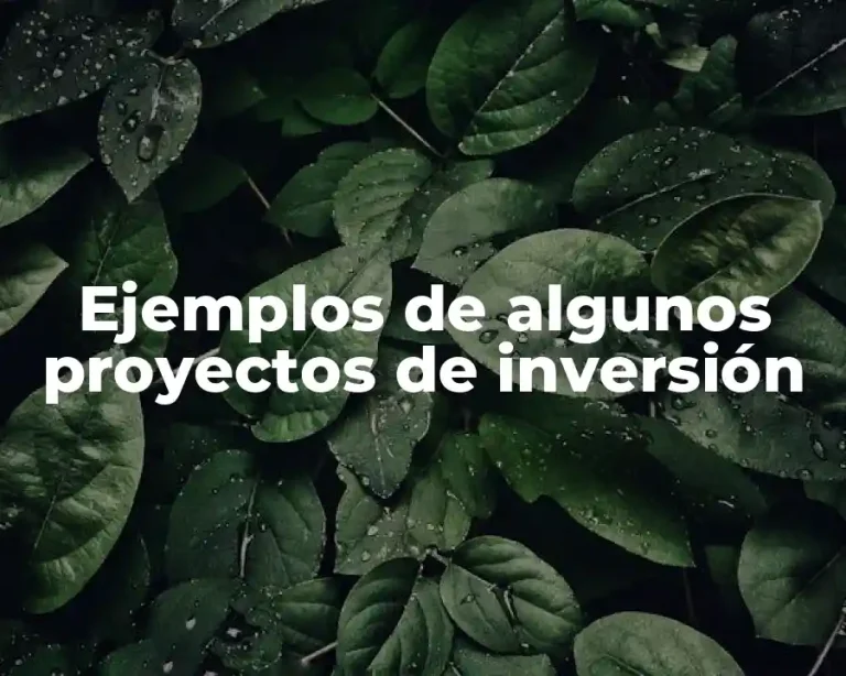 Ejemplos de algunos proyectos de inversión
