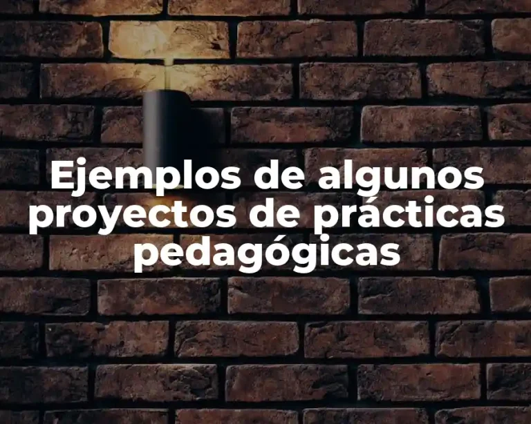 Ejemplos de algunos proyectos de prácticas pedagógicas