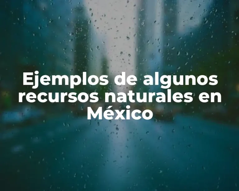 Ejemplos de algunos recursos naturales en México