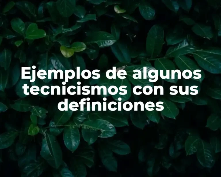 Ejemplos de algunos tecnicismos con sus definiciones