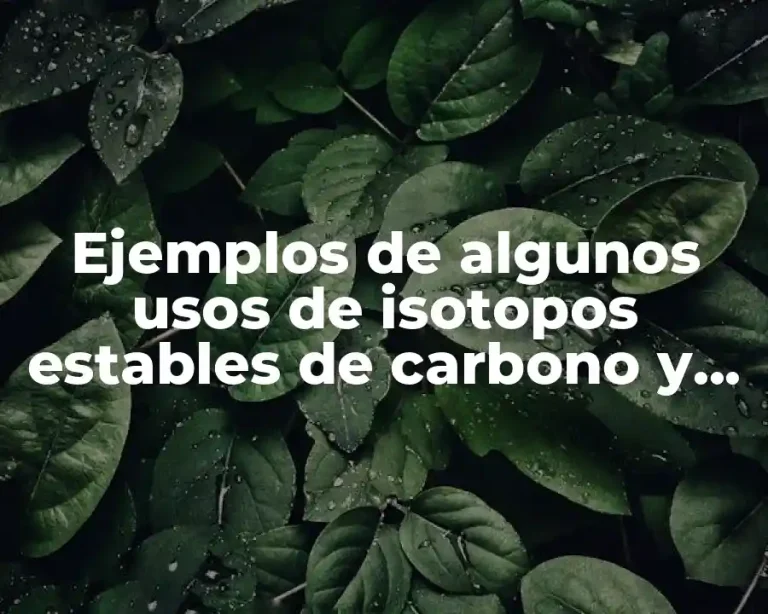 Ejemplos de algunos usos de isotopos estables de carbono y Significado