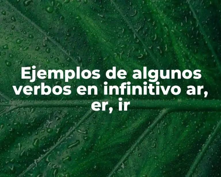 Ejemplos de algunos verbos en infinitivo ar, er, ir