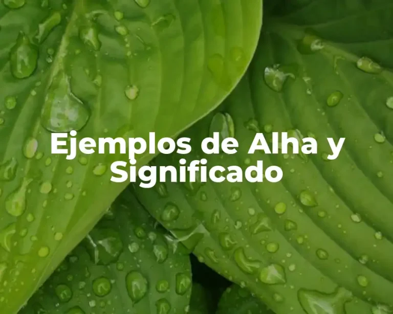 Ejemplos de Alha y Significado