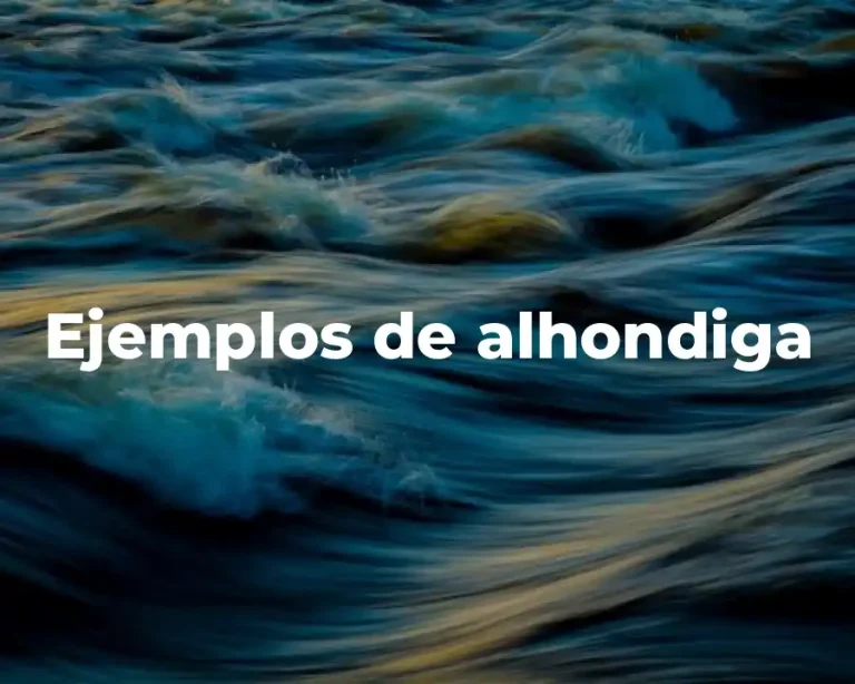 Ejemplos de alhondiga