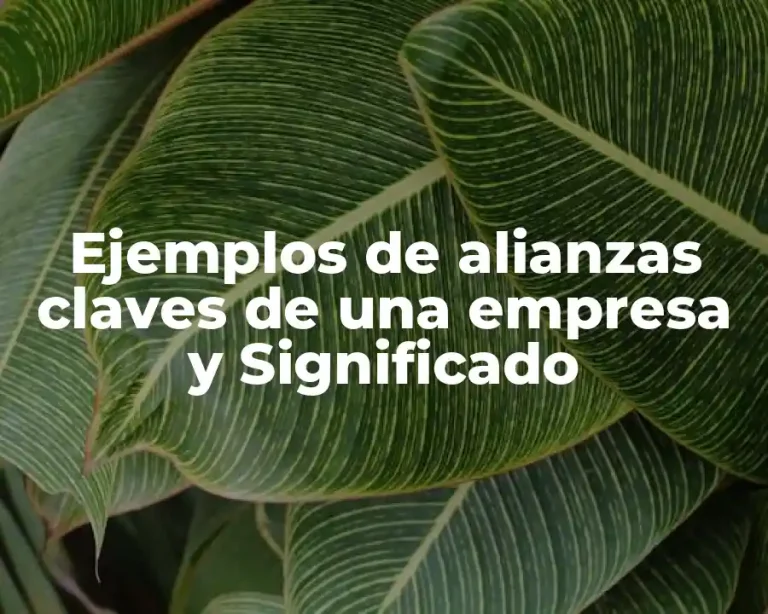 Ejemplos de alianzas claves de una empresa y Significado
