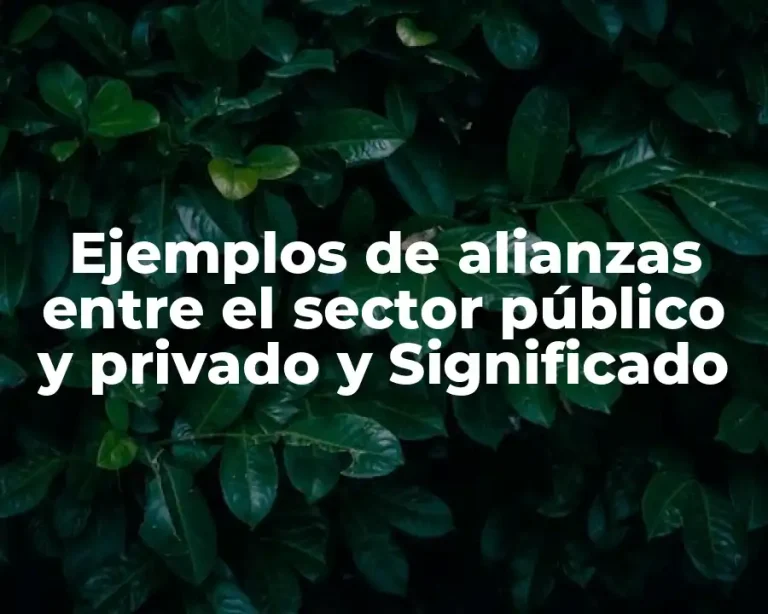 Ejemplos de alianzas entre el sector público y privado y Significado