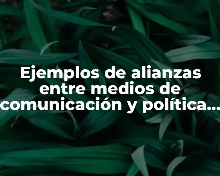 Ejemplos de alianzas entre medios de comunicación y política y Significado