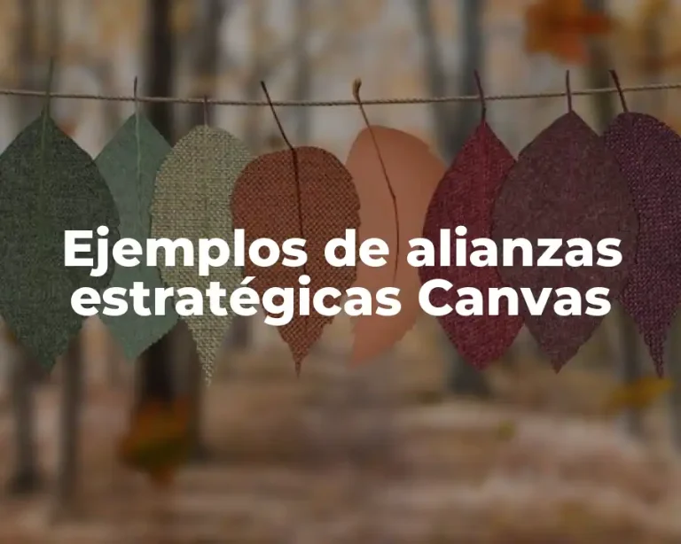 Ejemplos de alianzas estratégicas Canvas