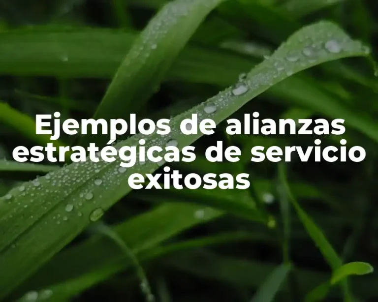 Ejemplos de alianzas estratégicas de servicio exitosas