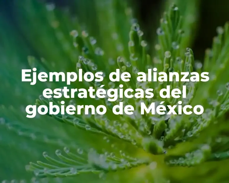 Ejemplos de alianzas estratégicas del gobierno de México