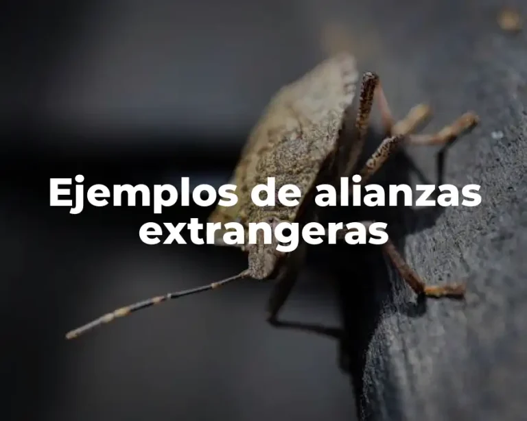 Ejemplos de alianzas extrangeras
