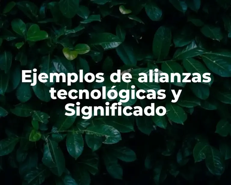 Ejemplos de alianzas tecnológicas y Significado