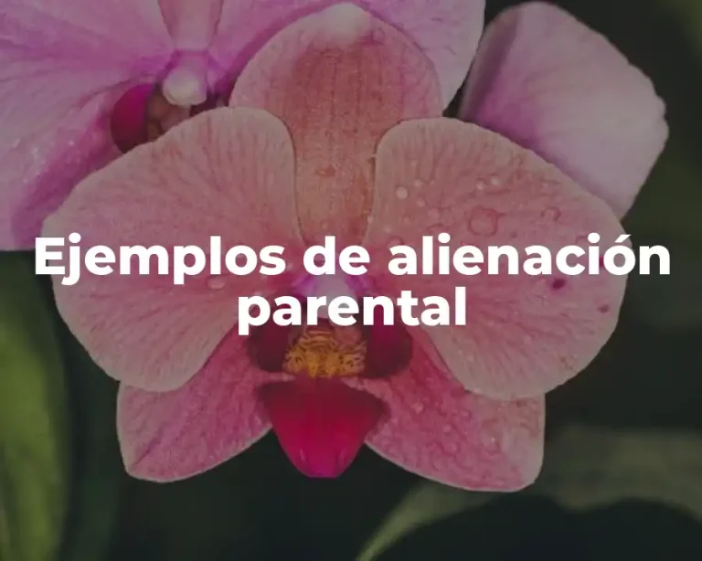 Ejemplos de alienación parental