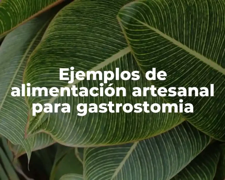 Ejemplos de alimentación artesanal para gastrostomia