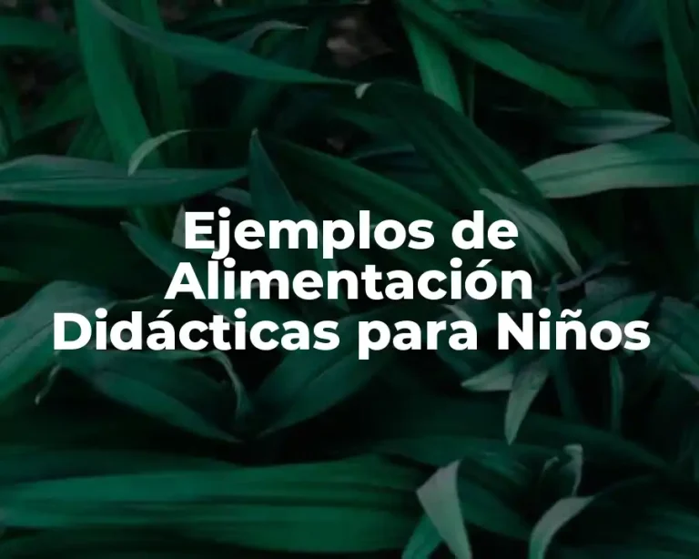 Ejemplos de Alimentación Didácticas para Niños