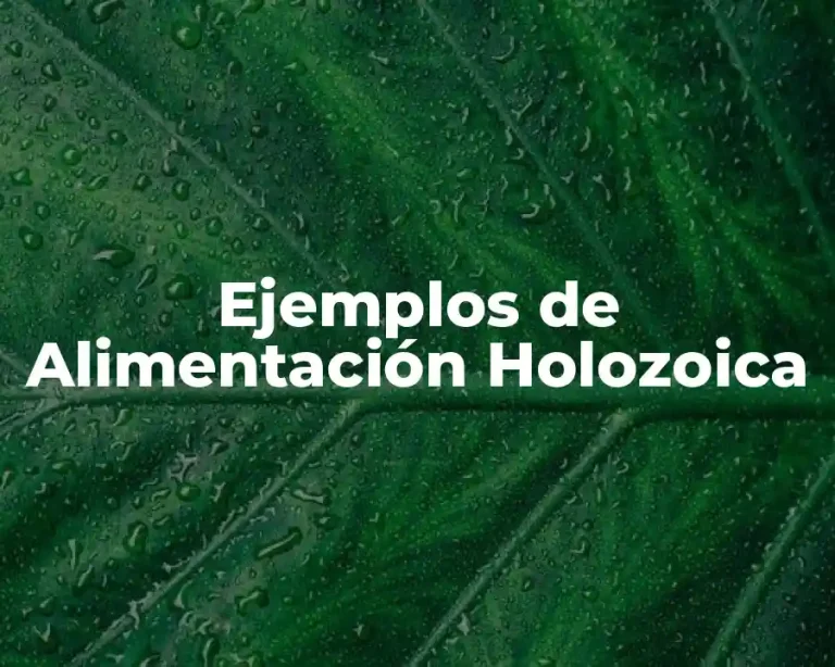 Ejemplos de Alimentación Holozoica