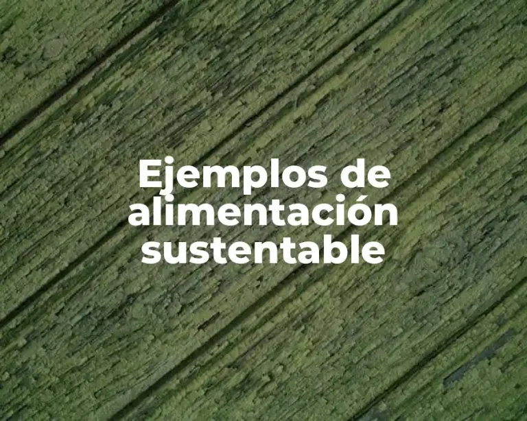 Ejemplos de alimentación sustentable