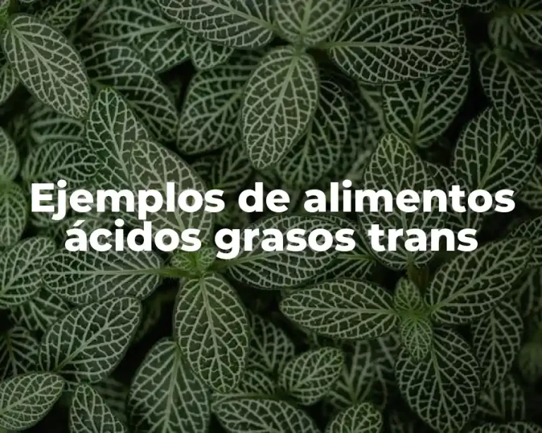 Ejemplos de alimentos ácidos grasos trans
