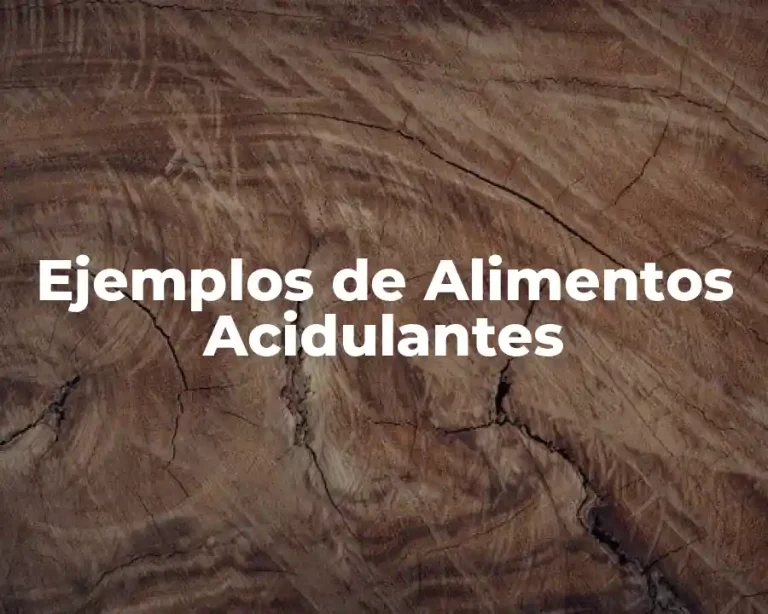 Ejemplos de Alimentos Acidulantes