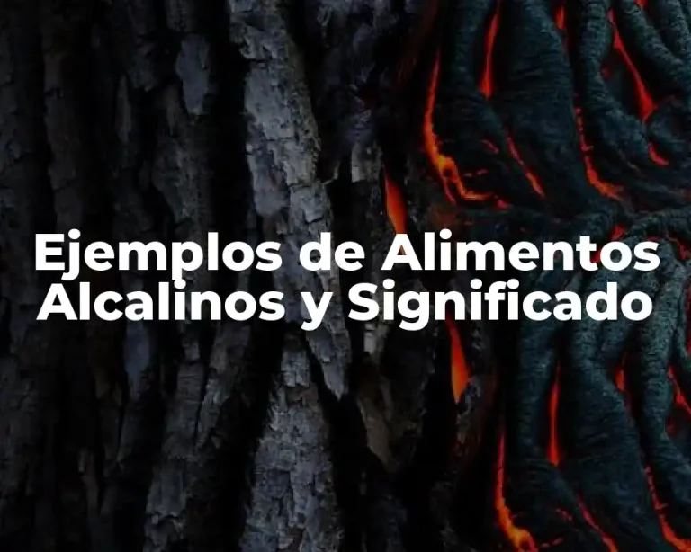Ejemplos de Alimentos Alcalinos y Significado