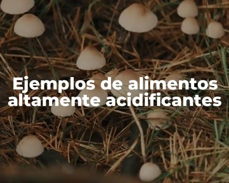 Ejemplos de alimentos altamente acidificantes
