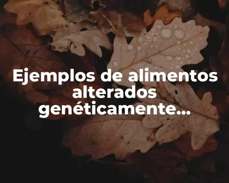 Ejemplos de alimentos alterados genéticamente jitomate
