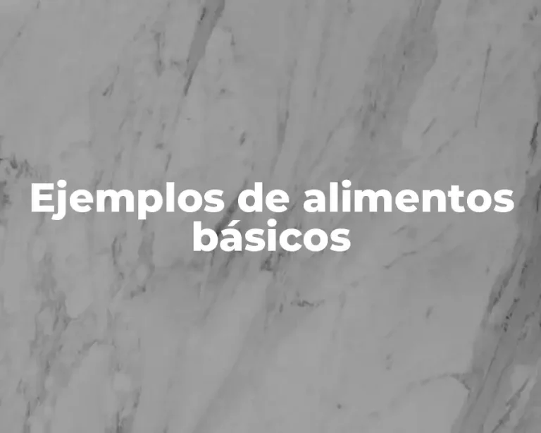 Ejemplos de alimentos básicos